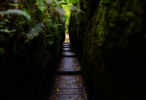 Die Drachenschlucht in Eisenach