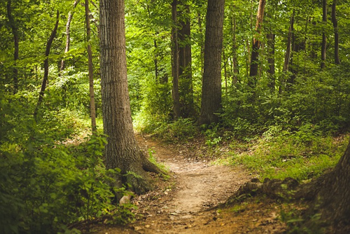 Aichelberger Traumtour: Ein Outdoor-Abenteuer in der Natur