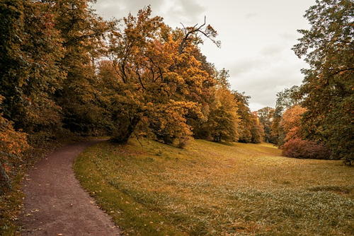 Backofenloch-Rundweg: Auf zu dem Drehort von Wilhelm Hauff