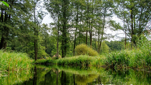 Oder-Spree: Ein Schlauchboottourbericht