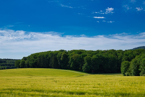 Der Adolf-von-Nassau-Wanderweg: Ein historisches Abenteuer