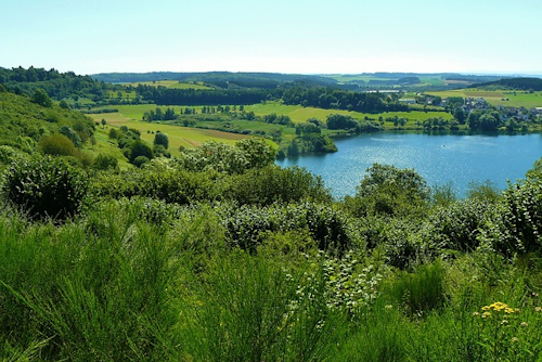 Die Grüne-Hölle-Tour: Ein Abenteuer in Bollendorf an der Eifel