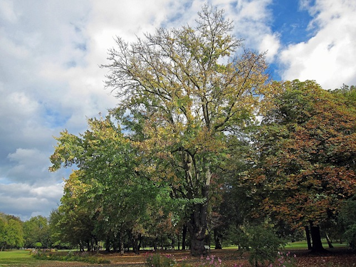 Ein Paradies für Wanderer: Naturschönheiten von Bad Kissingen