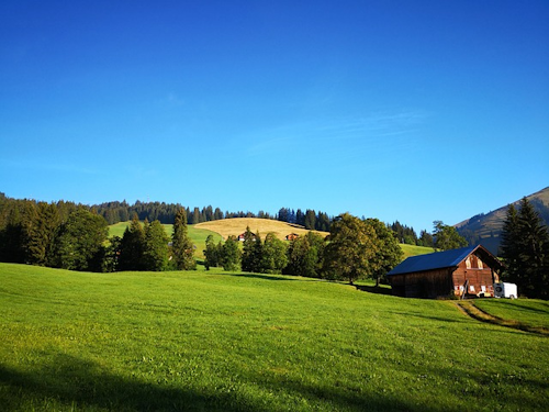 Gengenbacher Winzerpfad: Wandern und Weingenuss vereint