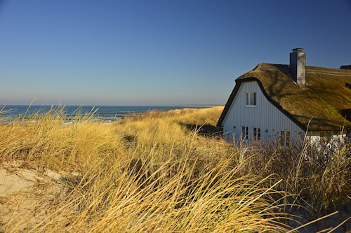 Naturspektakel: Haddebyer und Selker Noor in Schleswig-Holstein