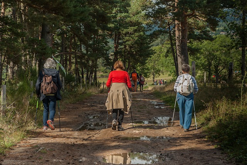 Tipps gegen Knieschmerzen beim Wandern