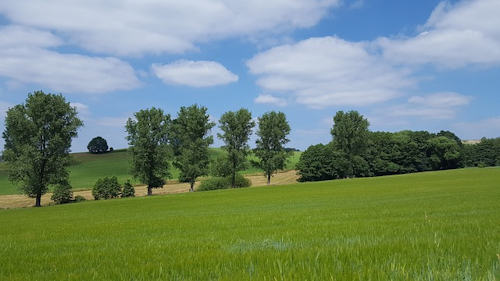 Wanderung zur Drei Brüder Höhe im Erzgebirge