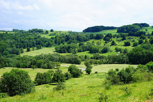 Blaubeurer Felsenstieg