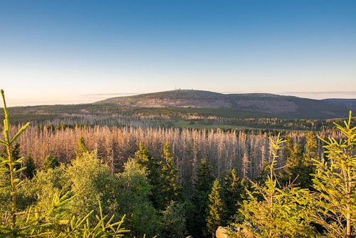 Eckerloch zum Brocken