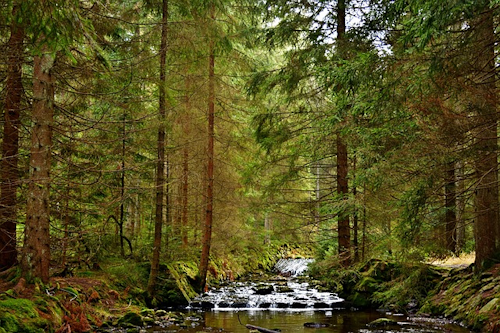 Eckertalsperre: Wandern am Grünen Band