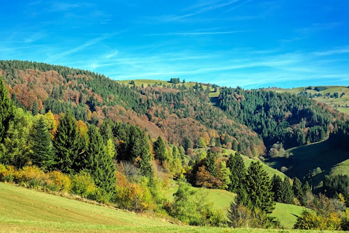 Feldbergsteig