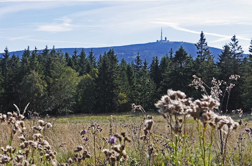 Goethe-Weg zum Brocken