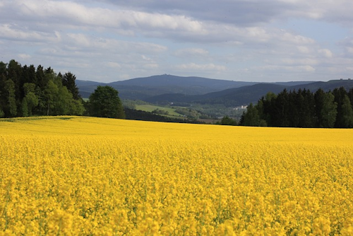 Kammweg Erzgebirge-Vogtland