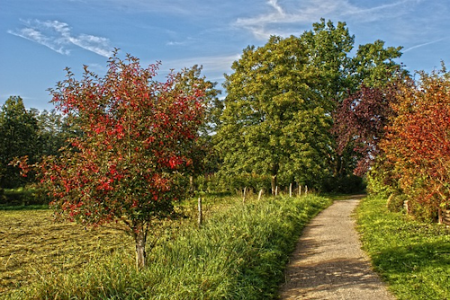 Premiumweg Rötenbachschlucht