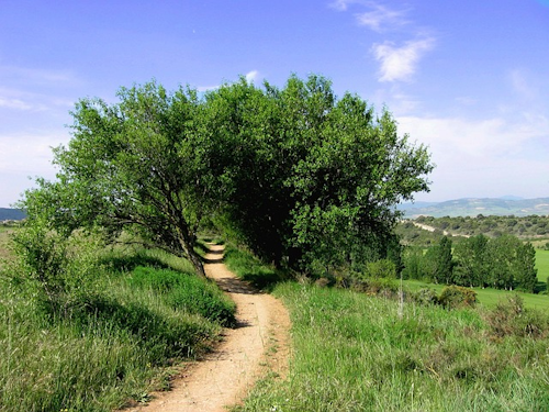 Sagenrundweg zur Klosterruine