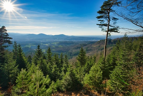 Schluchseer Jägersteig