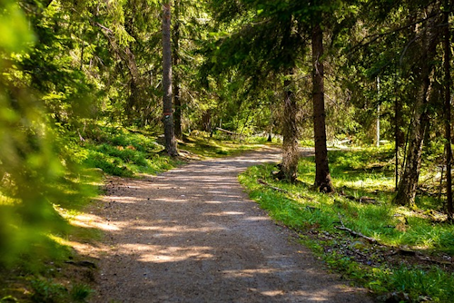 Wanderrunde von Walchensee