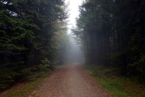 Wanderung Dahner Felsenpfad Runde